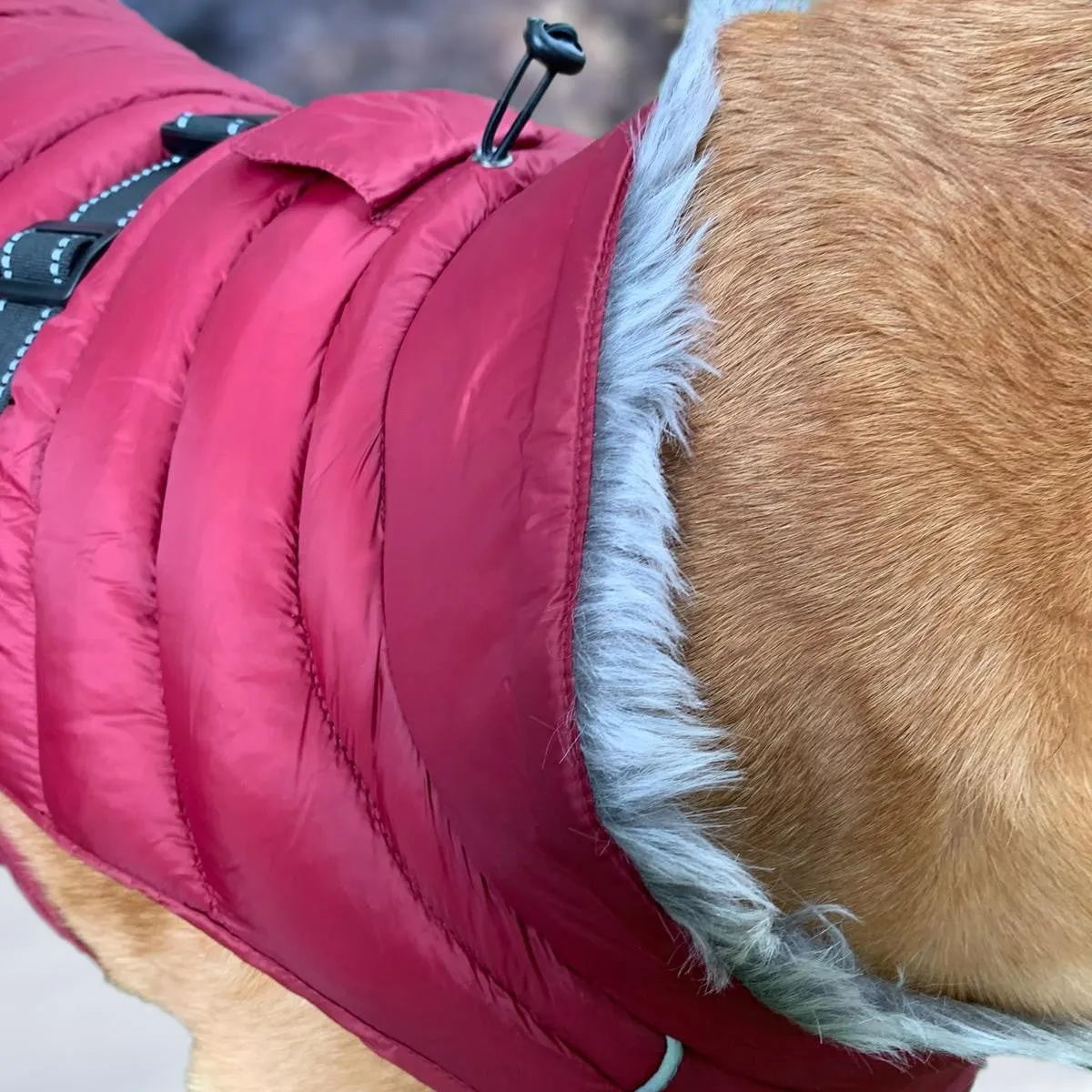 Alpine Extreme Weather Dog Puffer Coats