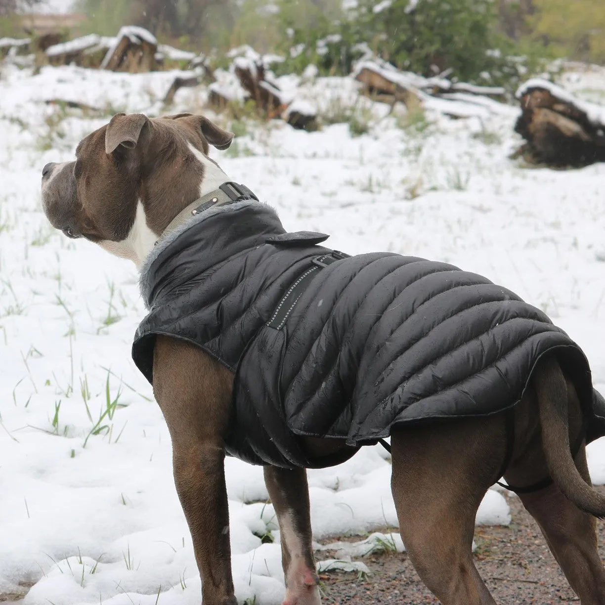 Alpine Extreme Weather Dog Puffer Coats