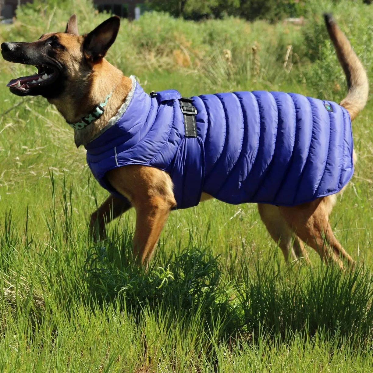 Alpine Extreme Weather Dog Puffer Coats