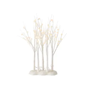 Raz Imports 2021 Lights 33-inch Glittered White Lighted Grove