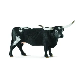 Texas Longhorn Cow