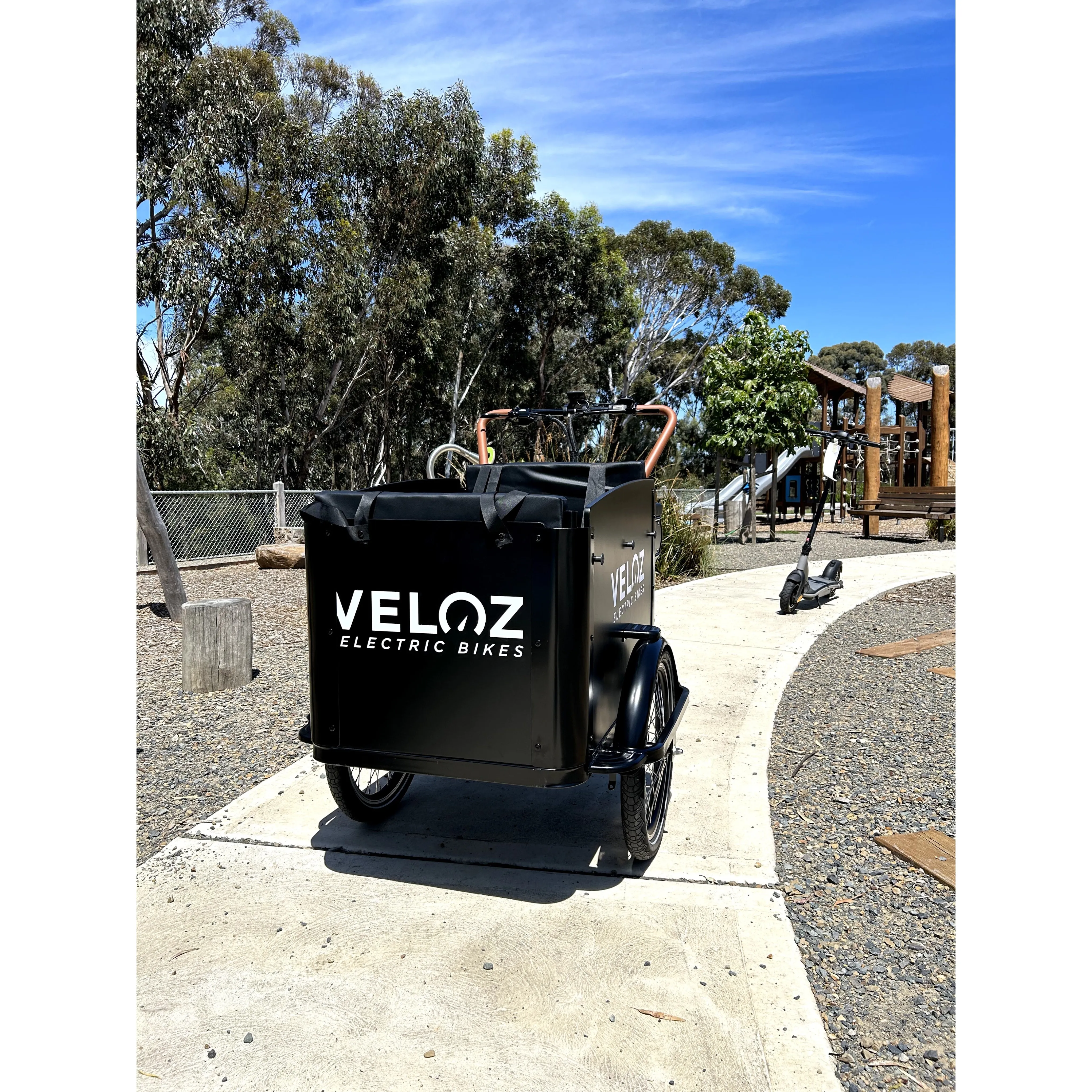 Veloz Electric Cargo Trike 500W Motor 200 Kilos weight load 6 Months Free Service